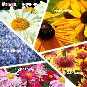 Набор "Кантри"